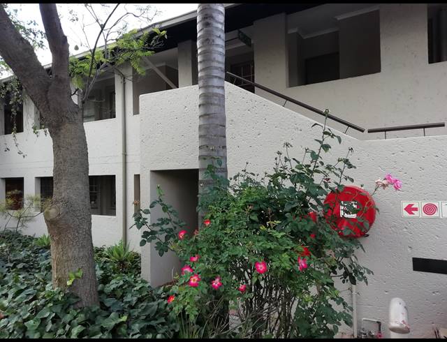 3 BEDROOM APARTMENT RENTED IN PAULSHOF